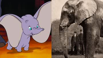 O elefante Dumbo (à esqu.) e Jumbo (à dir.) - Divulgação/Disney e Domínio Público via Wikimedia Commons