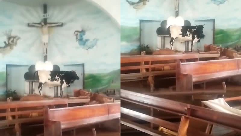 Imagens do boi no altar da igreja - Reprodução/Vídeo/Redes Sociais/X/@gzhdigital