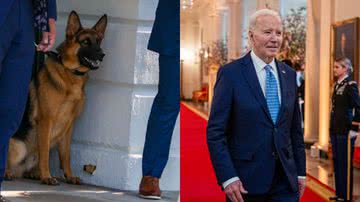 O cachorro do presidente, Commander, e o próprio Joe Biden - Getty Imagens