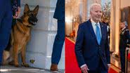 O cachorro do presidente, Commander, e o próprio Joe Biden - Getty Imagens
