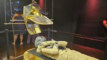 Registro da exposição - Divulgação/'Tutankamon, uma experiência imersiva'