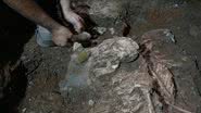 Fotografia dos restos mortais descobertos - Divulgação/ Agência Anadolu