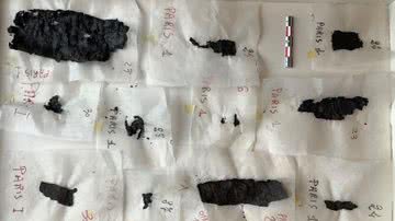 Fotografia do papiro carbonizado - Divulgação/ Michèle Hannoosh