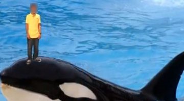 Com rosto borrado, o jovem posa sobre uma baleia - Divulgação / Vídeo / YouTube