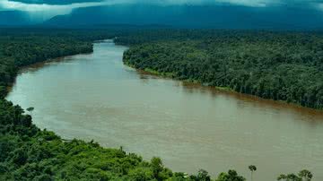 Imagem da Amazônia tirada por um helicóptero - Getty Images