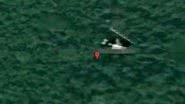 Imagem do Google Maps de 2018, que mostra destroços do voo MH370 - Reprodução / Google Maps
