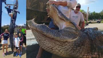 Crocodilo capturado na Flórida - Reprodução / Capitão Kevin Brotz