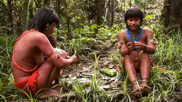 Indígenas Yanomami em Terra Yanomami - Reprodução/Twitter/SurvivalInternational