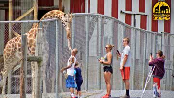 Foto presente no site do zoológico mostrando visitantes interagindo com girafa - Divulgação/ Natural Bridge Zoo