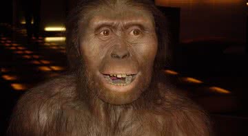  Um Australopithecus afarensis - divulg.