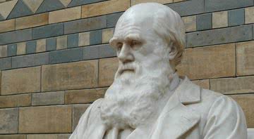 Fotografia de estátua de Charles Darwin - Divulgação/Pixabay