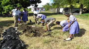 Arqueólogos jamaicanos em treinamento em Lionel Town - Reprodução