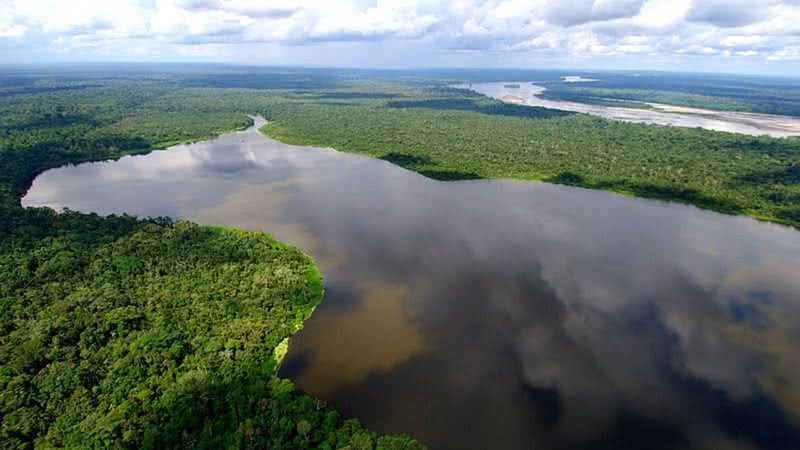 Imagem da Amazônia do Equador - Licença Creative Commons via Wikimedia Commons