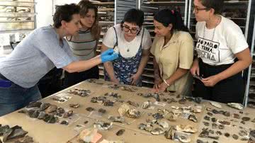 Pesquisadores analisando artefatos de pedra lascada encontrados em Ipeúna (SP) - Divulgação/A Lasca Arqueologia
