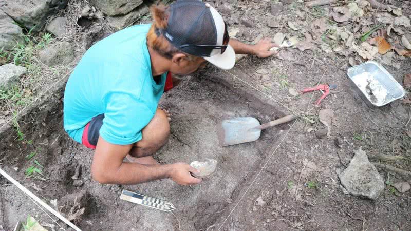 Fotografia do local de escavações - Divulgação/ James Flexner e Emilie Perez