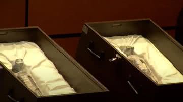 Imagem das "múmias extraterrestres" apresentadas em Congresso no México - Reprodução/Vídeo