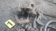 Um dos esqueletos encontrados no cemitério - Reprodução / Vyacheslav Baranov