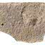Fragmento de pedra com inscrição com referência a Jesus encontrada em Israel