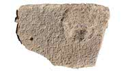 Fragmento de pedra com inscrição com referência a Jesus encontrada em Israel - Divulgação/Autoridade de Antiguidades de Israel/Tzachi Lang e Einat Ambar-Armon