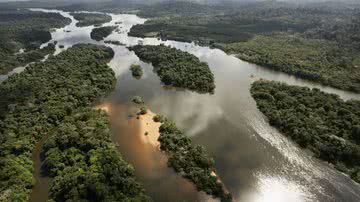 Floresta Amazônica - Getty Images