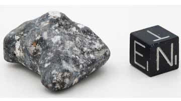 Imagem do meteorito resgatado do asteroide 2024 BX1 - Reprodução/Natural History Museum/DLR/Freie Universtaet Berlin