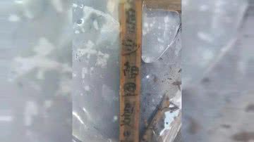 Tira de bambu encontrado em poço - Reprodução / Instituto de Arqueologia / Academia Chinesa de Ciências Sociais