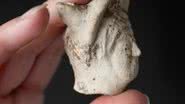 A cabeça do deus romano encontrada no Reino Unido - Reprodução / National Trust Images