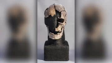 Crânio de 5 mil anos fragmentado - Reprodução / Stephen Freiheit; Fischer et al.