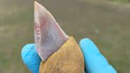 Exemplo de ferramenta de pedra colada em um cabo feito de betume e ocre - Reprodução/Universidade de Tübingen/Patrick Schmidt