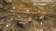 Restos de túmulo de guerreiro ávaro descoberto na Hungria - Divulgação/Museu Déri