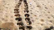 Antigo jogo encontrado talhado em rocha no Quênia - Divulgação/Veronica Waweru