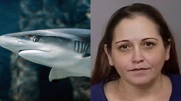 Imagem ilustrativa de tubarão e a professora acusada de roubo - Foto de christels, via Pixabay e Departamento de Polícia de Bradenton