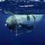 Modelo do submarino que eclodiu no oceano