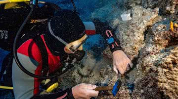 Mergulhador fazendo buscas em zona de naufrágio na costa da Turquia - Divulgação/Universidade Nicolaus Copernicus em Toruń/Mateusz Popek