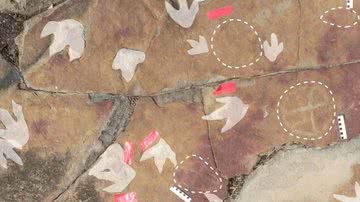 Pegadas e petróglifos foram encontrados - Divulgação/Scientific Reports