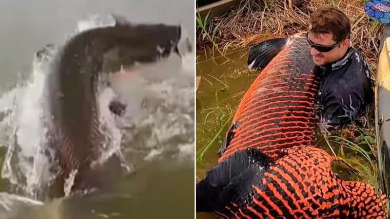 Pescador pescou peixe gigante - Divulgação/Redes sociais