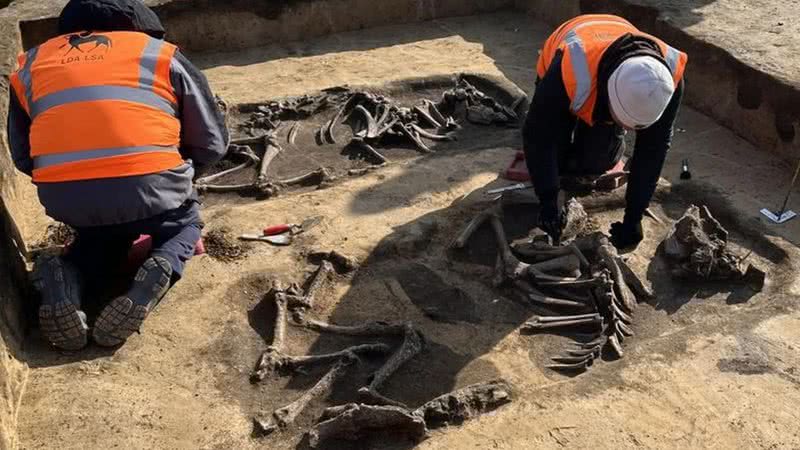 Túmulos encontrados na Alemanha por arqueólogos - Reprodução / Escritório de Estado de Gestão do Patrimônio e Arqueologia da Saxônia-Anhalt