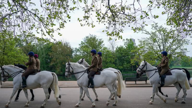 Imagem dos cavalos do Palácio de Buckingham - Getty Images