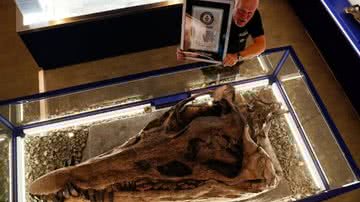 O crânio de monstro marinho que quebrou recorde - Reprodução/Guiness World Records