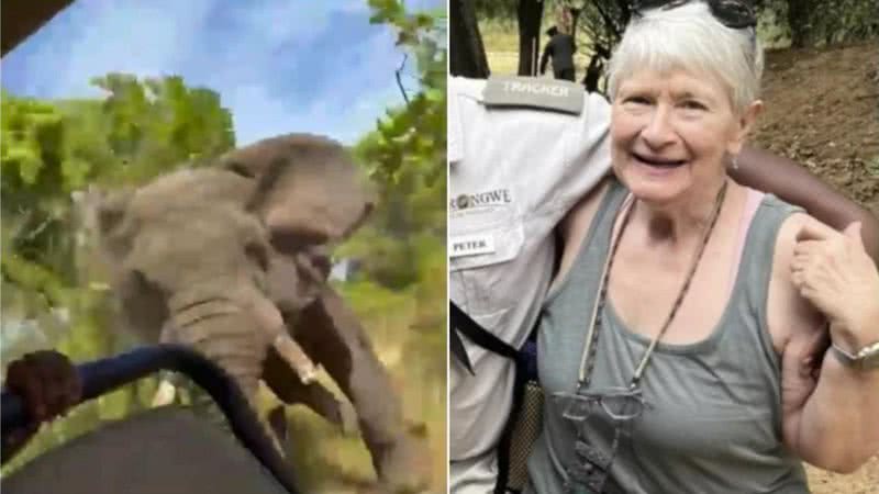 A americana Gail Mattson morreu após ataque de elefante em safári - Divulgação/Facebook