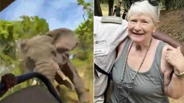 A americana Gail Mattson morreu após ataque de elefante em safári - Divulgação/Facebook
