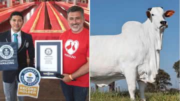 Sanduíche de metro e vaca quebraram recordes do Guinness em 2023 - Guinness World Records e Casa Branca Agropastoril