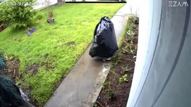 'Pirata de varanda' se disfarça de saco de lixo para roubar encomenda - Reprodução/Video