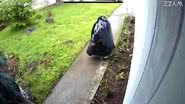 'Pirata de varanda' se disfarça de saco de lixo para roubar encomenda - Reprodução/Video
