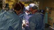 Imagem da sala de cirurgia durante o transplante - Divulgação/Massachussets General Hospital