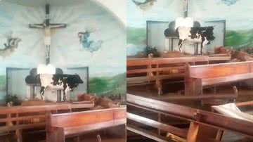 Imagens do boi no altar da igreja - Reprodução/Vídeo/Redes Sociais/X/@gzhdigital