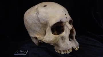 Crânio de 4 mil anos analisado em novo estudo - Divulgação/Tondini, Isidro, Camarós, 2024