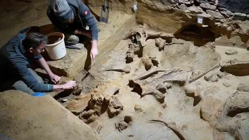 Os ossos de mamute na adega - Divulgação / Oeaw / H. Parow-Souchon