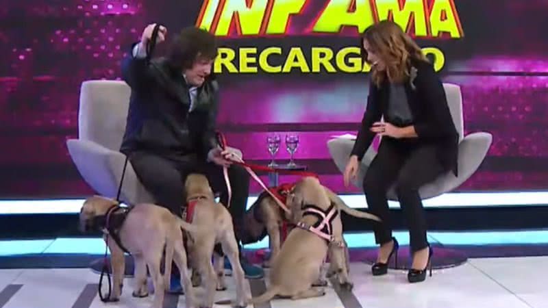 Javier Milei em programa de TV argentino com seus cachorros - Reprodução/Vídeo/YouTube/@americaenvivo