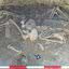 Restos mortais encontrados em Dorset